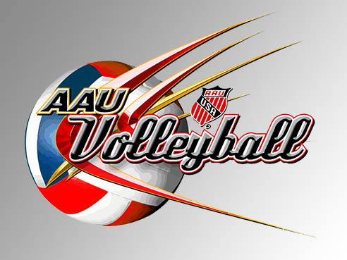 Men's 2018 NCAA Women's Volleyball Championship made by